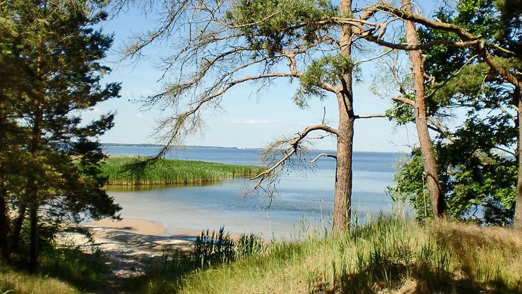 Holiday home Auszeit Am Haff Ferienhaeuser Vogelsang-Warsin