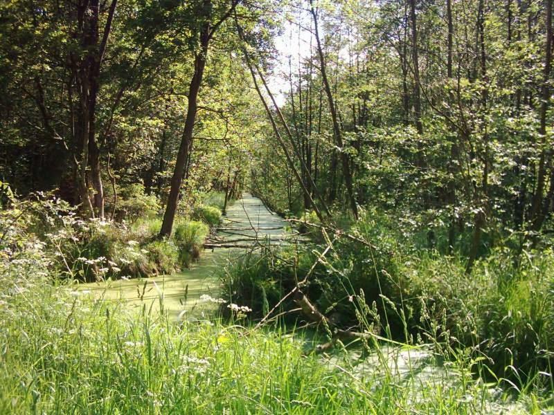 Auszeit Am Haff Ferienhaeuser Holiday home